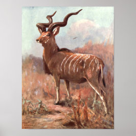 Greater Kudu Antelope von Swan, Vintages Wildtier Poster