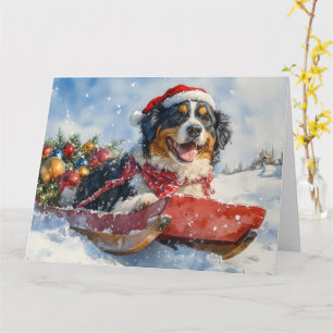 Greater Swiss Mountain Dog im Schlitten Weihnachte Karte