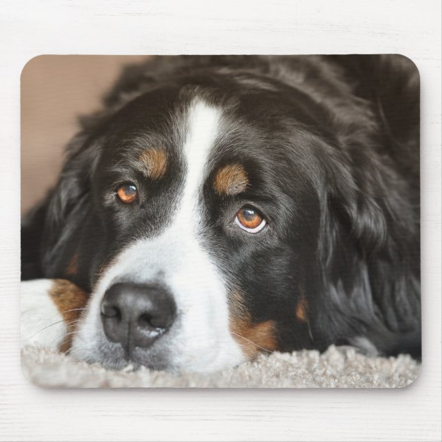 Greater Swiss Mountain Dog Mousepad (Vorne)