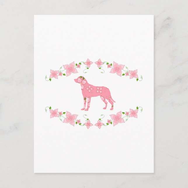 Greater Swiss Mountain Dog Postkarte (Vorderseite)