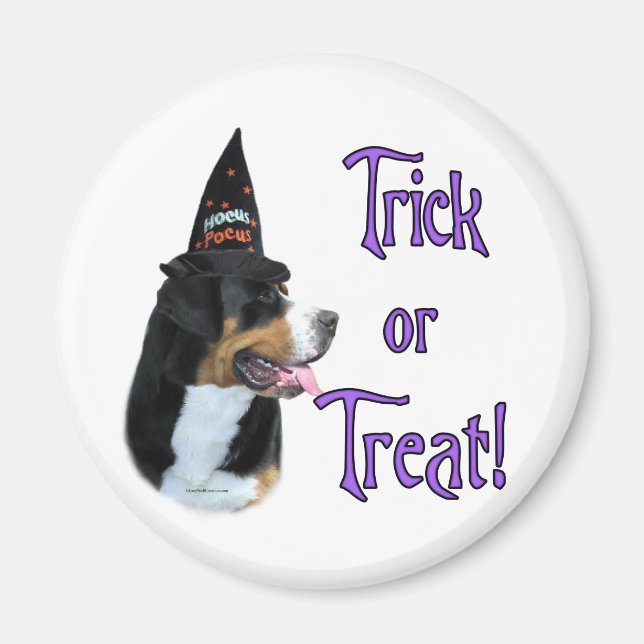 Greater Swiss Mountain Dog Trick Magnet (Vorne)