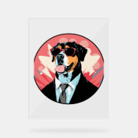 Greater Swiss Mountain Hund Businessman