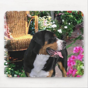 Greater Swiss Mountain Hund Kunstgiesserei Mousepad