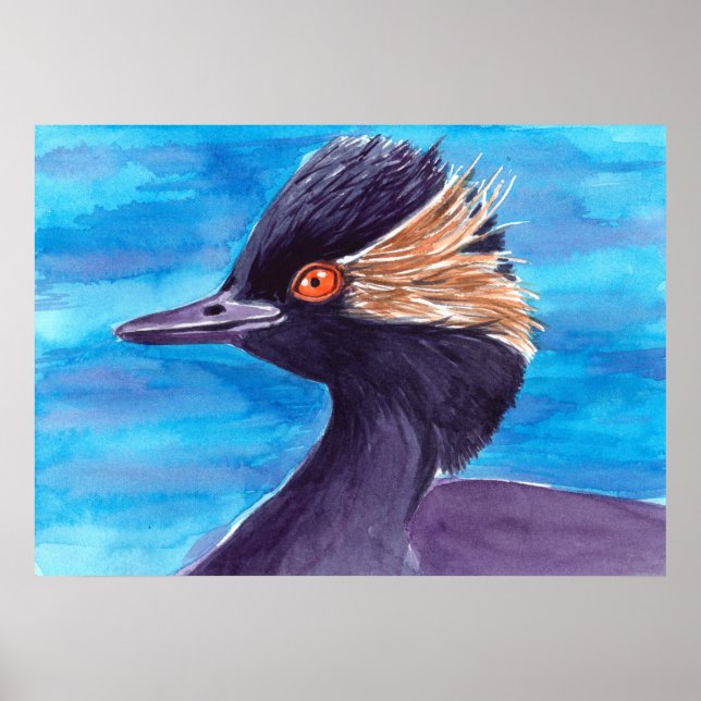 Grebe Poster (Vorne)