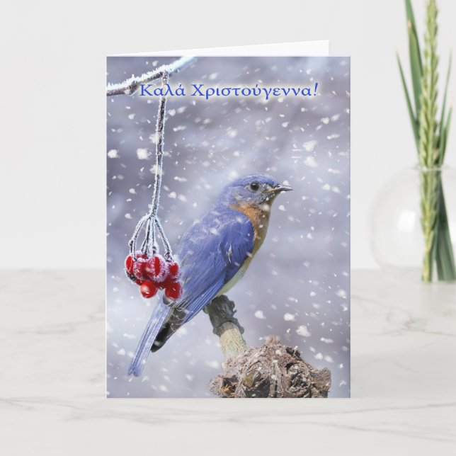 Grec - Carte de voeux de Noël aux oiseaux bleus (Devant)