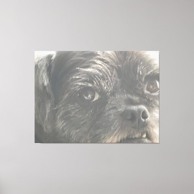 Greedo Watches Leinwanddruck (Vorderseite)