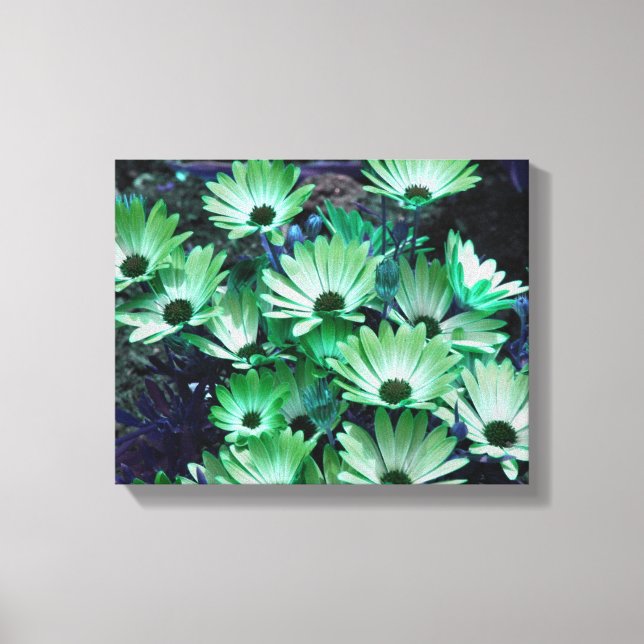 Green African Daisies Abstrakte Blume Leinwanddruck (Vorderseite)