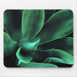 Green Agave Attenuata Mousepad