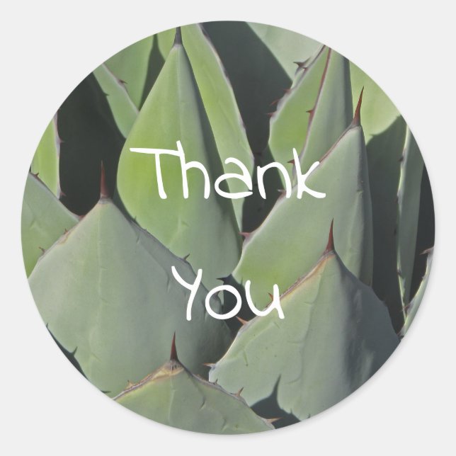 Green Agave Blätter Botanisches Foto Südwesten Runder Aufkleber (Vorderseite)