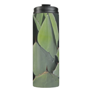 Green Agave Blätter Botanisches Foto Südwesten Thermosbecher