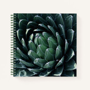 Green Agave Notizbuch