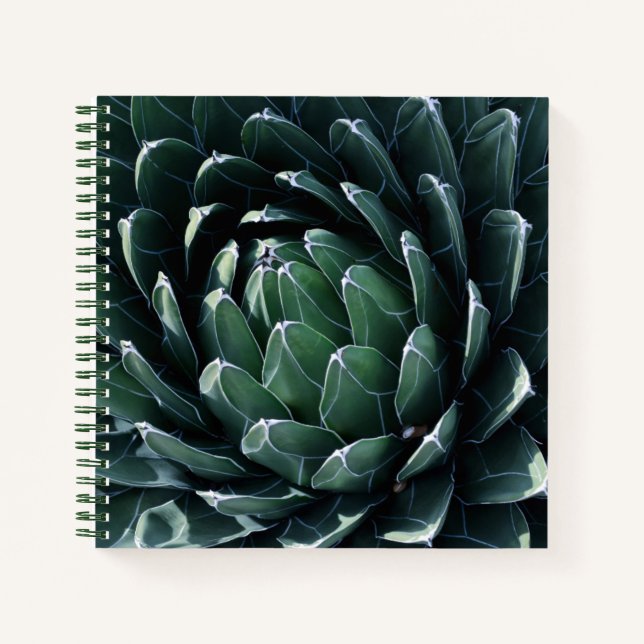 Green Agave Notizbuch (Vorderseite)