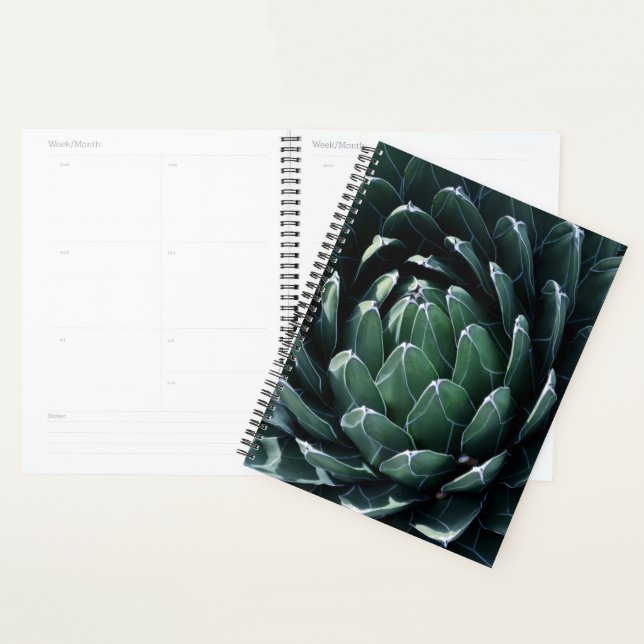 Green Agave Planer (Anzeige)