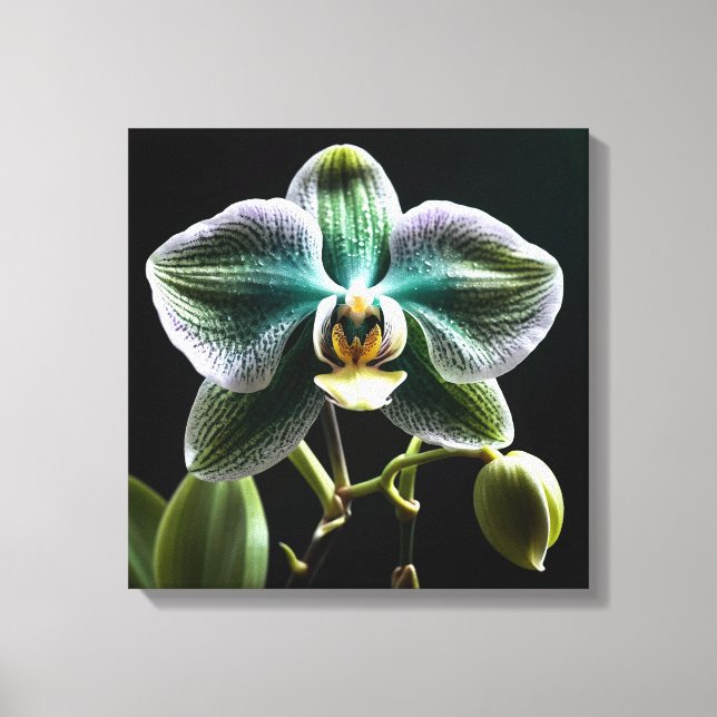 Green and White Orchid Leinwanddruck (Vorderseite)