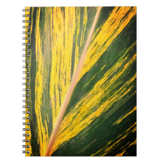 Green and yellow notizblock