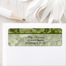 Green Annabelle Hydrangea Blume Rücksendeadresse