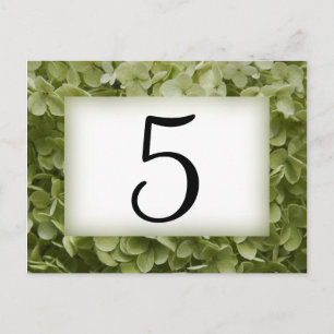 Green Annabelle Hydrangea Blume Tischnummern