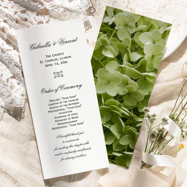 Green Annabelle Hydrangea Blume Wedding Program Programm (Von Creator hochgeladen)