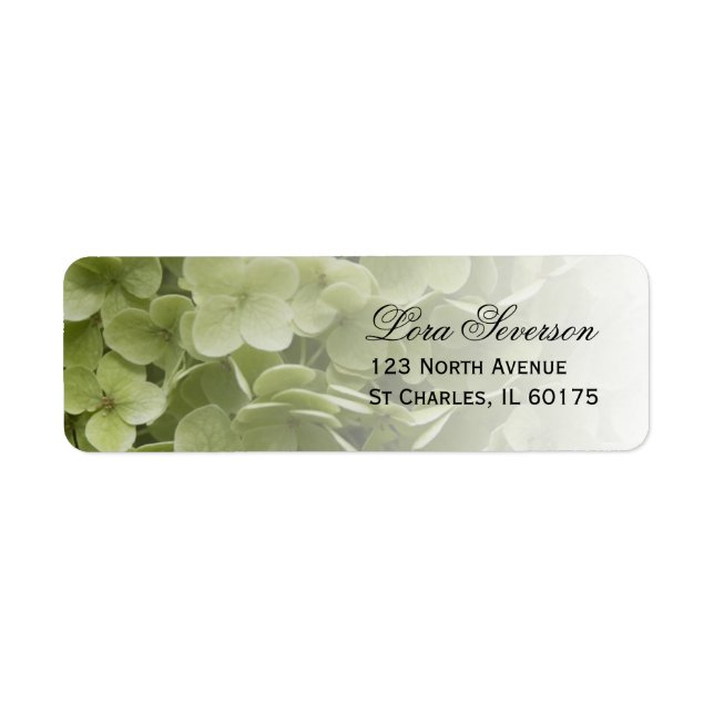 Green Annabelle Hydrangea Rücksendeadresse (Vorne)