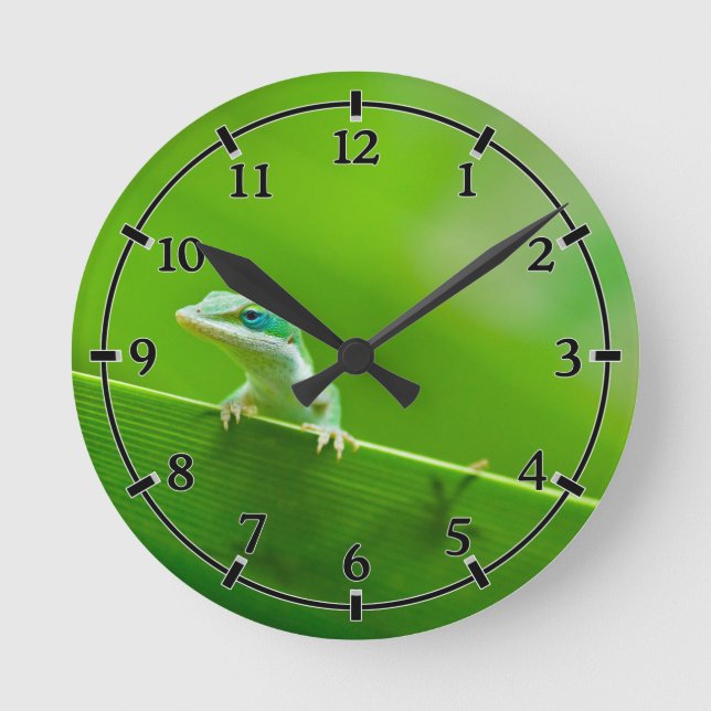 Green Anole Lizard Encounter Niedliches Kleiniges Runde Wanduhr (Vorderseite)