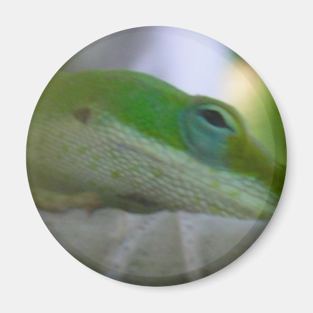 Green Anole Lizard Magnet (Vorne)