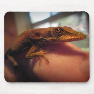 Green Anole Lizard Mousepad