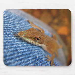 Green Anole Lizard Mousepad
