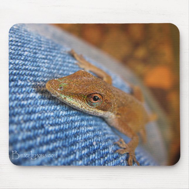 Green Anole Lizard Mousepad (Vorne)