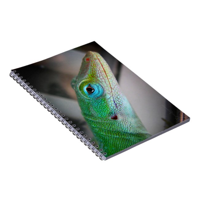 Green Anole Lizard Notizblock (Rechte Seite)