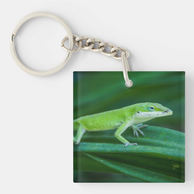 Green Anole Lizard Schlüsselanhänger (Vorderseite)