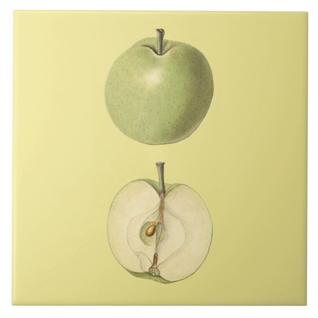 Green Apple Botanical Tile ~ Küche ~ Farbe ~ Fliese (Vorderseite)