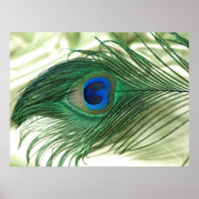 Green Apple Peacock Sill Life Poster (Vorne)