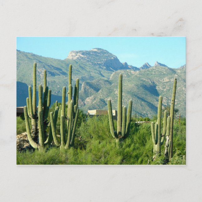 "Green Arizona" Postkarte (Vorderseite)