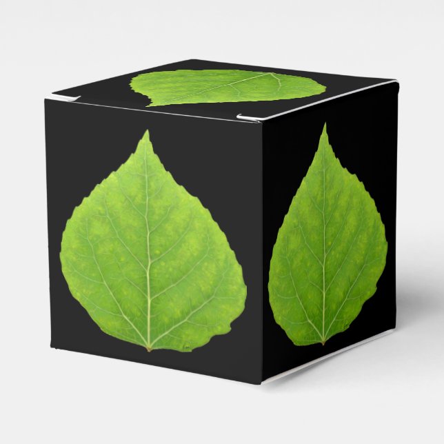 Green Aspen Leaf #11 Geschenkschachtel (Vorderseite)