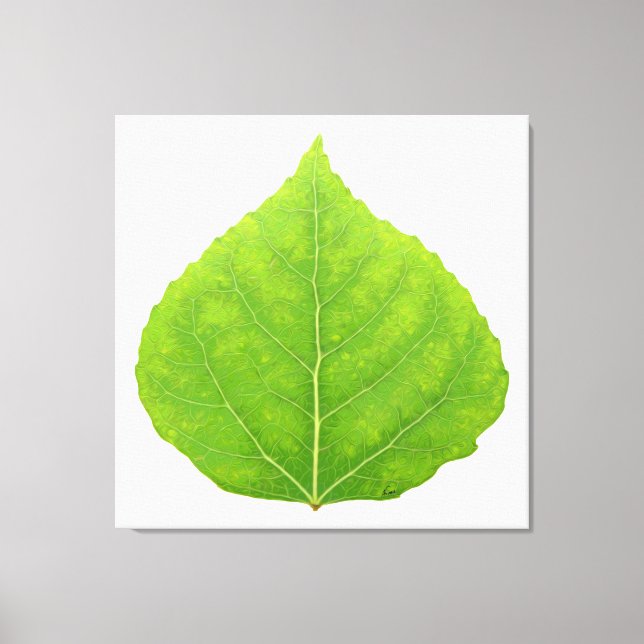 Green Aspen Leaf #11 Leinwanddruck (Vorderseite)