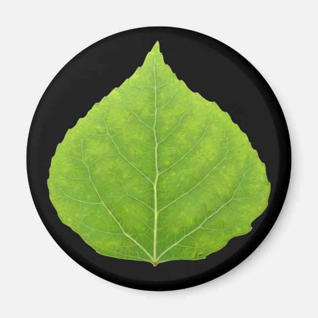 Green Aspen Leaf #11 Magnet (Vorne)