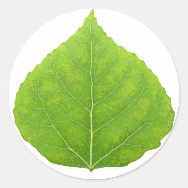 Green Aspen Leaf #11 Runder Aufkleber (Vorderseite)