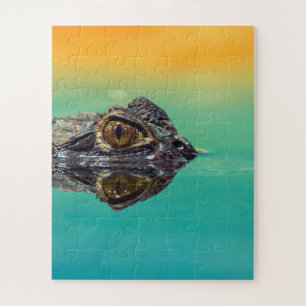 Green Baby Crocodile in Water mit Blau und Orange
