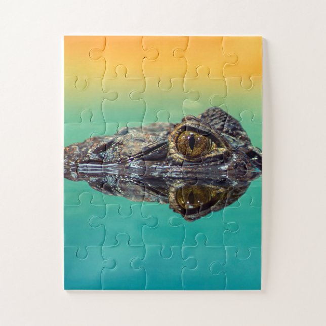 Green Baby Crocodile in Water mit Blau und Orange (Vertikal)