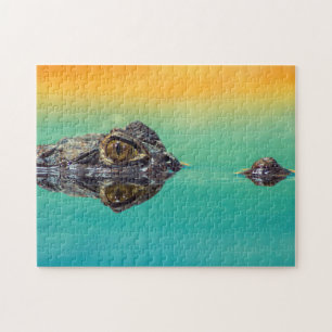 Green Baby Crocodile in Water mit Blue und Orange