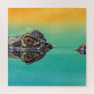 Green Baby Crocodile in Water mit Blue und Orange