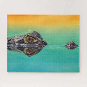 Green Baby Crocodile in Water mit Blue und Orange