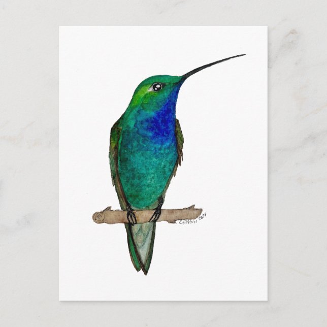 Green-backed Hillstar Hummingbird Postkarte (Vorderseite)