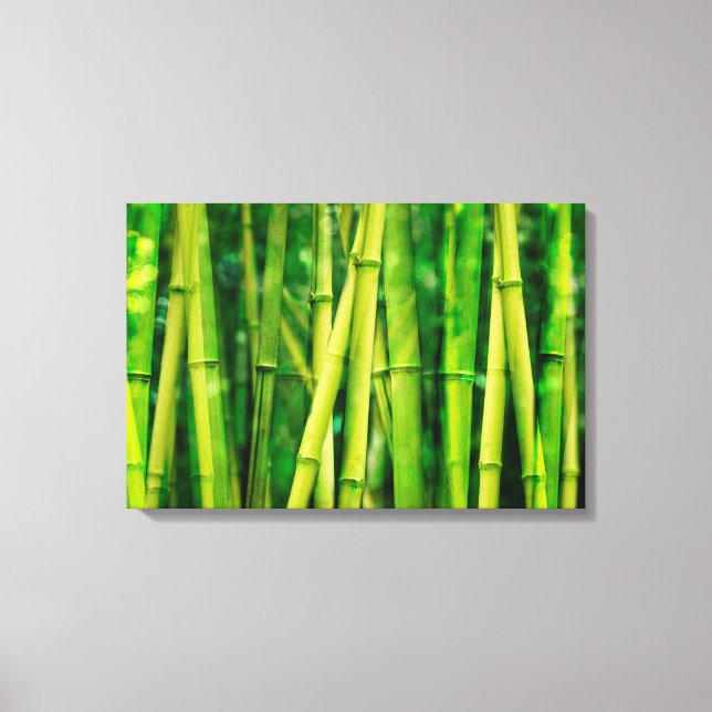 Green Bamboo Leinwanddruck (Vorderseite)