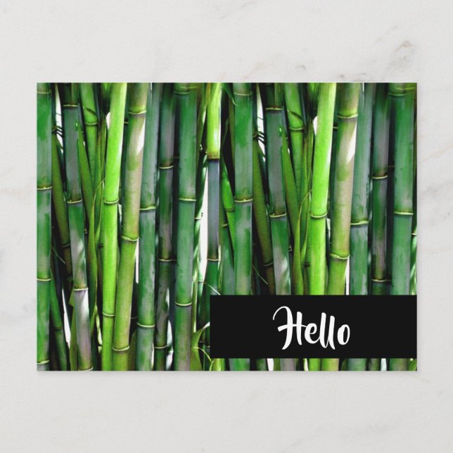 Green Bamboo Stalks Naturfotografie - Hallo Postkarte (Vorderseite)