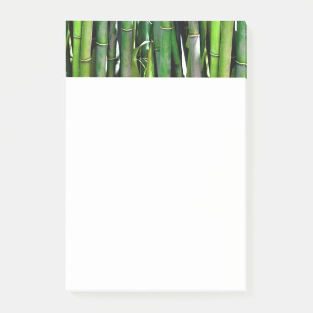 Green Bamboo Stalks Naturfotografie Post-it Klebezettel (Vorderseite)