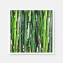 Green Bamboo Stalks Naturfotografie
