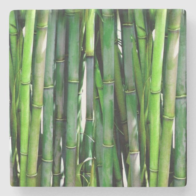 Green Bamboo Stalks Naturfotografie Steinuntersetzer (Vorderseite)