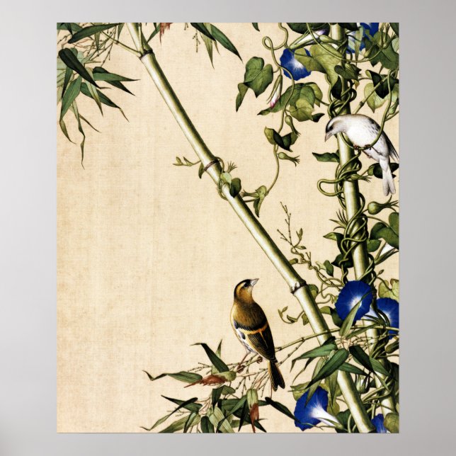 Green Bamboo und Morning Glory Fine Art Poster (Vorne)