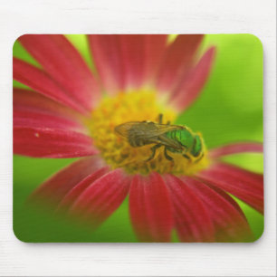 Green Bee & Painted Daisy Mouse Pad Mousepad